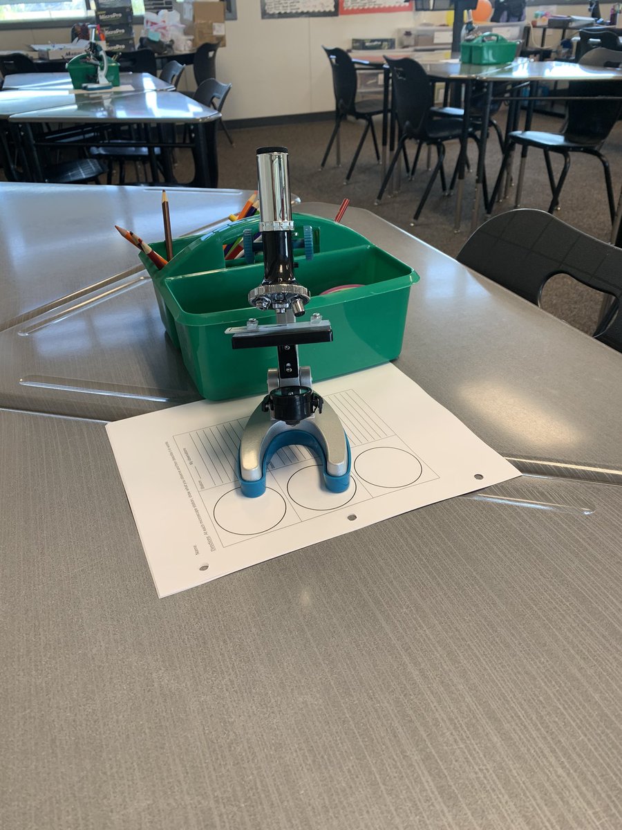 DawnMcMaster6's tweet image. Exploring our microscopic world! #burtonexperience #IBScience #SCIA