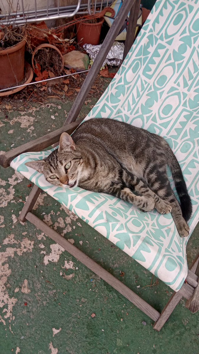 solo voy a tu casa para verlo a él q lo sepas