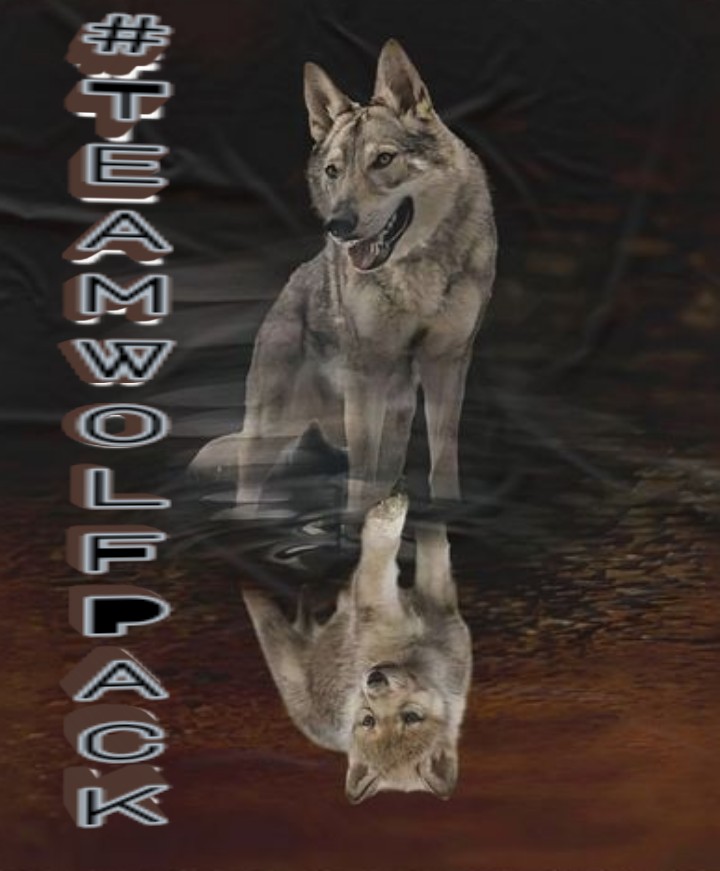 #TeamWolFPack🐺
@NiteWolF_1
@Hapalochlaena2
@MarthaCandia21
@botagain
❀ꗥ～ꗥ❀
@ALESXIA_1
@Jemaco40
@PackWolF_1
@KalouYalewa
@MARTHA_CAN2
@Zegdie
@JIMENAC__ 
@KIACHIARA1
❀ꗥ～ꗥ❀
@TOP_ANAHI
@45Scooby2
@moni_dollnature
@45Gigi24
@SweetLouTiger
@Crossboy_72
@Ashes2Angels
@2Ava6