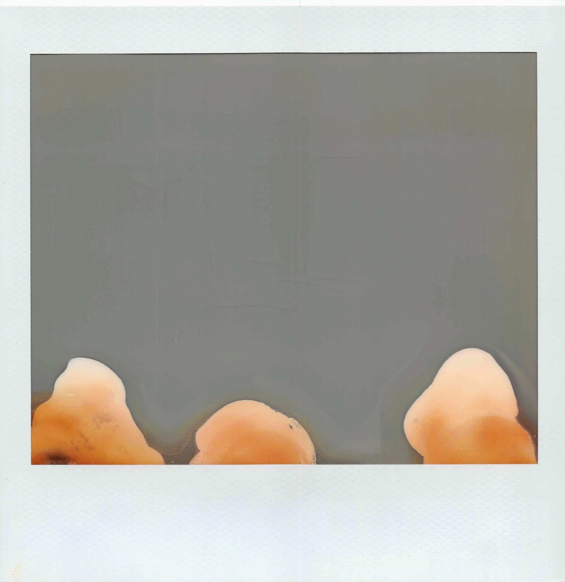 Erratum: This is the wrong web site tweet media