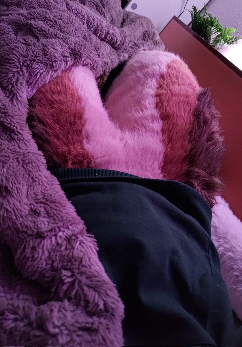 Soundwave857's tweet photo. comfy https://t.co/Ywq5EeBILX