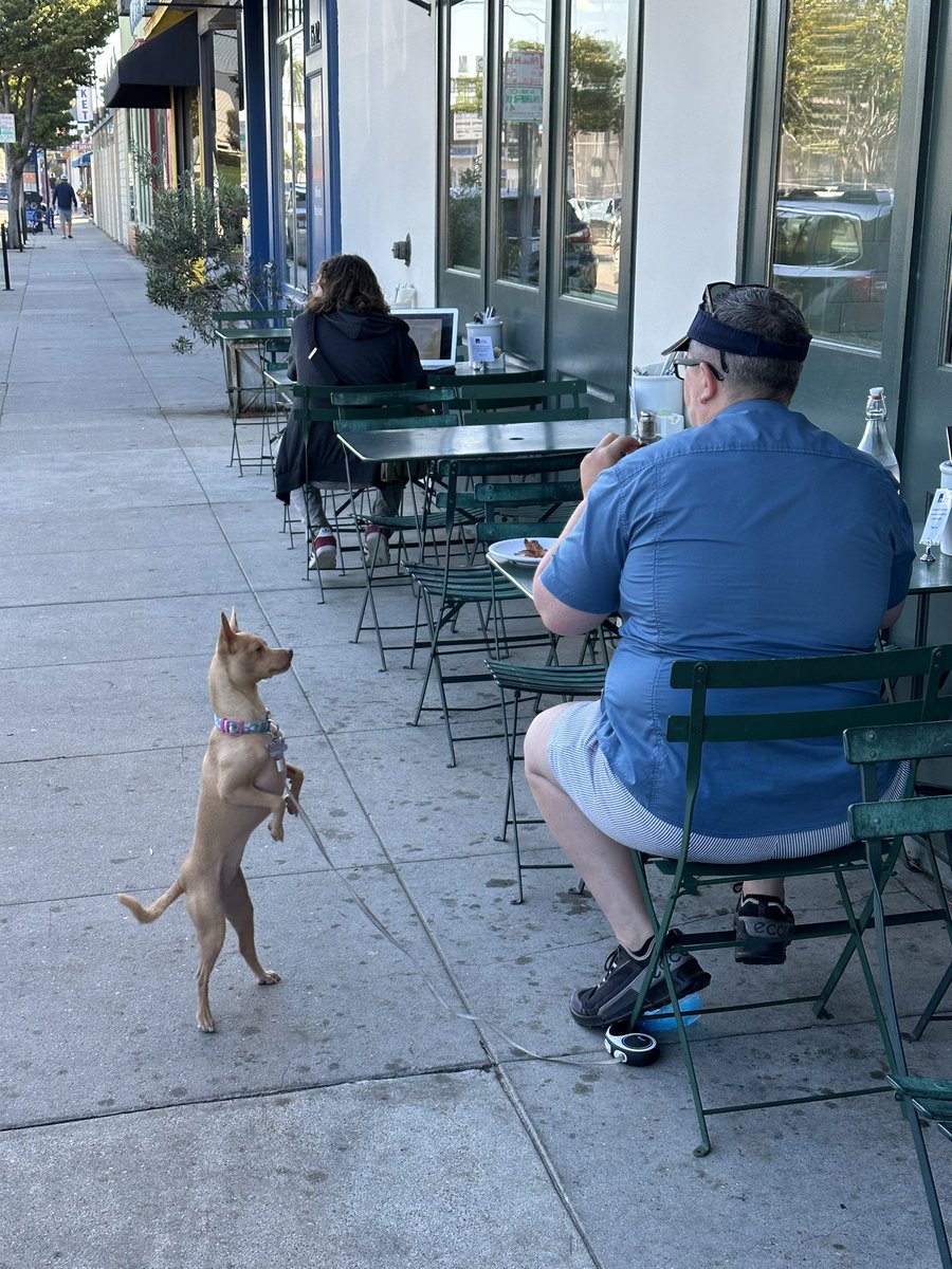 VCs waiting for the IPO window to re-open