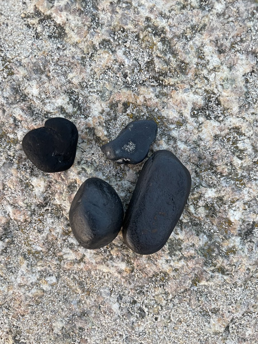 Hey <a href="/GywerMelanie/">Melanie Gywer unter dem blauen Himmel </a> was meinst du? Das sind ziemlich harte Schwemmholz“steine“. Würde gerne versuchen, ob man daraus Anhänger machen kann. Löchlein rein und Haken und fertig. Meinst ich könnte sie durch einölen oder so haltbar machen?