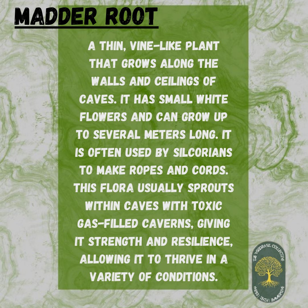 JungleTentacle's tweet photo. Check out the versatile natural dye, Madder Root! With its excellent light and wash fastness properties, it's been used for centuries in textile production. #SilcorFlora #Web3Community #NFT #MadderRoot #NaturalDye #SustainableFashion #EcoFriendly #Silcorian #TextileProduction https://t.co/frm7uakhdb