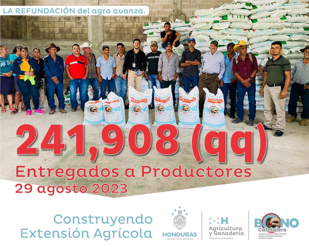 🌱🌾 ¡#SAG garantizando #SeguridadAlimentaria! En agosto, más de 83,929 productores han sido fortalecidos gracias al #BonoCafetalero 2023. En menos de 2 meses, hemos entregado un impresionante total de 241,908 quintales de fertilizante.