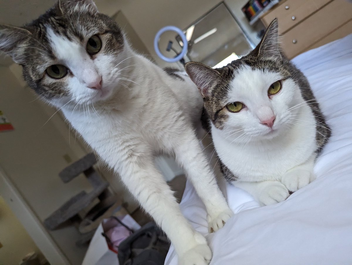 JazzzBerrry on X: morning t.coAharzFEbHU  X