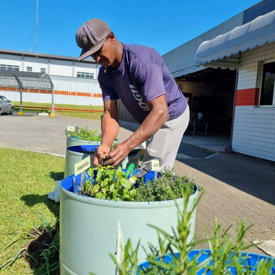 SOGIL_Oficial's tweet photo. #RotinaSOGIL🌱🌼

Hoje é o dia de revitalizarmos a horta da #SOGIL, com o objetivo de cultivar o bem-estar e a sustentabilidade! Nossos colaboradores têm à disposição uma diversidade de temperos e chás fresquinhos, que adicionam mais sabor e saúde às refeições. 🥗🍵 https://t.co/QwgY6z5YeQ