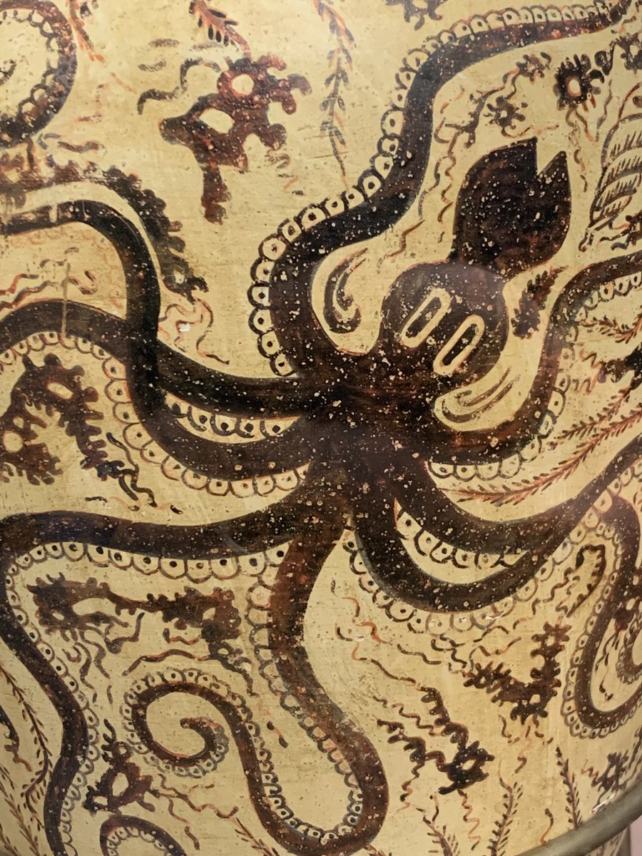 AMSAuncg's tweet photo. Welcome back everyone to a new semester! Time to stretch those tentacles and get busy😎🐙 https://t.co/MLPVE7gxaI