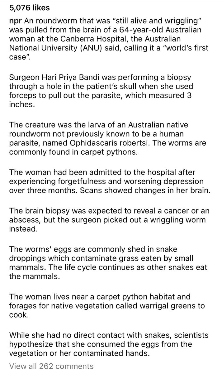 ArielaZibiah's tweet image. Rausia ho na #kusima - #kokoda koto, kida koto! 👧🏾 👇🏾👇🏾👇🏾 from  @NPR insta.