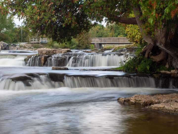 The long weekend is fast approaching! On busy weekends, Sauble Falls can hit capacity limits quickly. To ensure you get a spot to visit the falls, book your daily vehicle permit online ahead of time so you don’t have to worry. Happy long weekend!🌲🌞🏕️