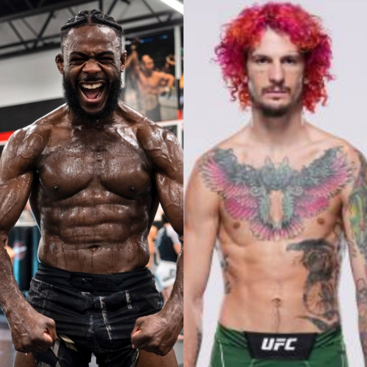 It's hard to convince those who don't watch MMA that the guy who looks like 69 smoked the guy who built like a monster. #UFC292