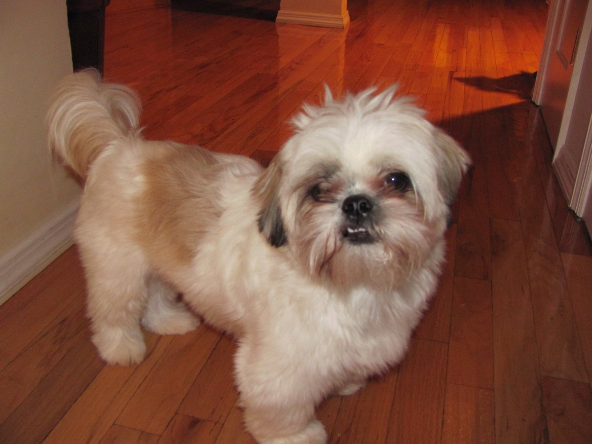 m ( ˘ ³˘)♥ tweet media