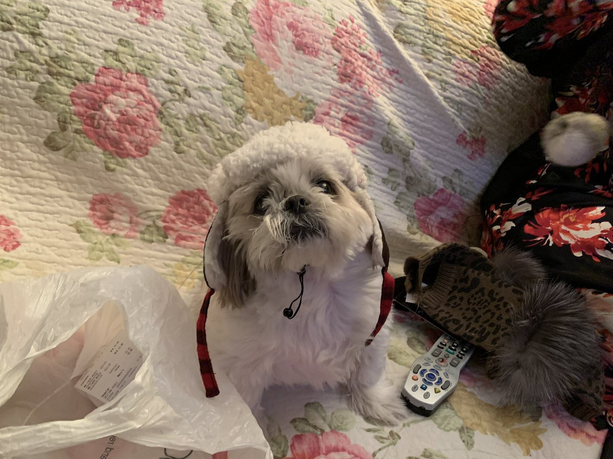 m ( ˘ ³˘)♥ tweet media