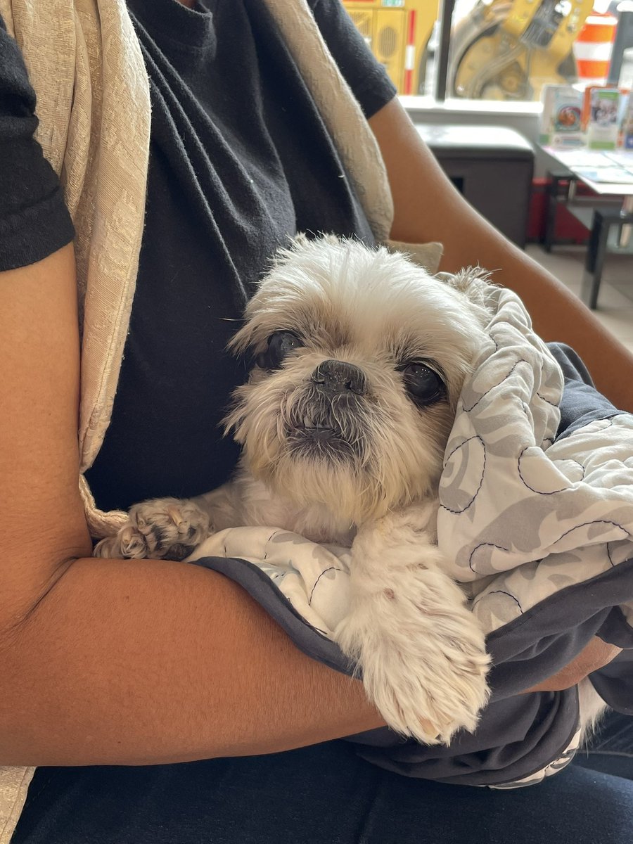 m ( ˘ ³˘)♥ tweet media