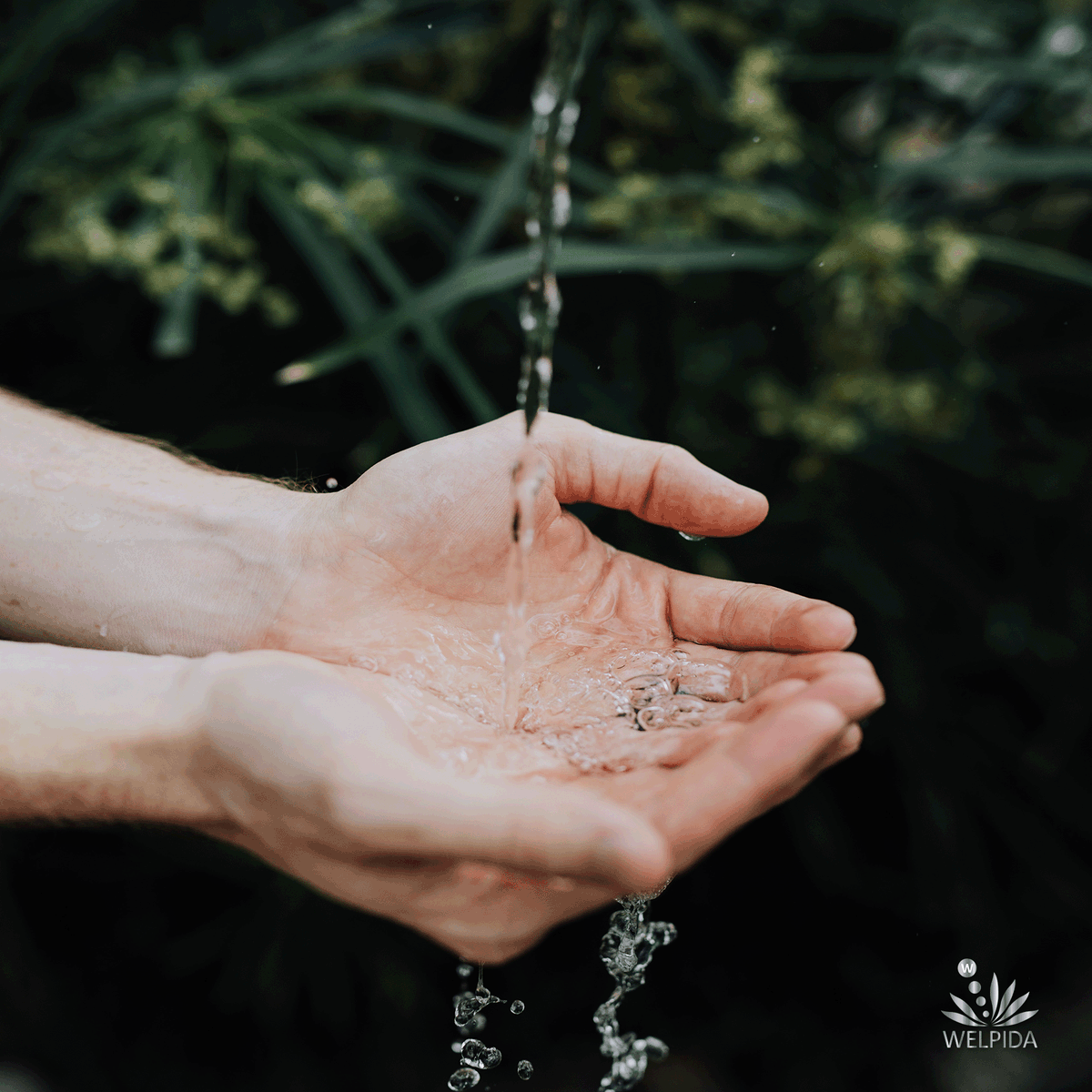 WelpidaOfficial's tweet photo. 𝐏𝐎𝐒𝐄𝐈𝐎𝐍 𝐒𝐇𝐎𝐖𝐄𝐑𝐇𝐄𝐀𝐃 | 💧🚿🛁
Supercharge your showers with magnetized water, the most useful, soft water!
🚿 Help your skin be softer, brighter, &amp; more moisturized
🚿 Get healthy &amp; glowing hair
🚿 Save 30% of water
🚿Grab yours @ https://t.co/NEr5ayb1uC https://t.co/zVXBEjktvr