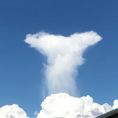 #新しいプロフィール画像