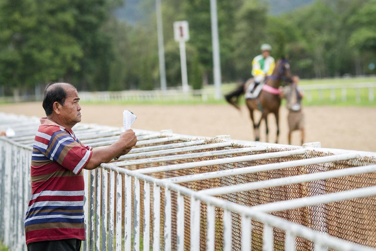 The Racing Onion tweet media