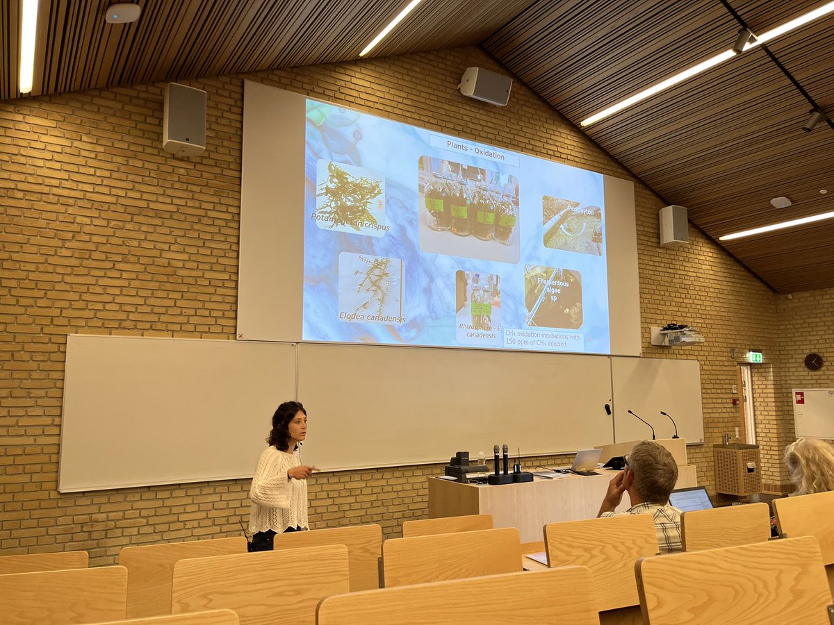 Today @ch_esposito successfully defended her PhD on greenhouse gas emissions from ponds and shallow lakes. Well done Chiara! it’s been a pleasure to co-supervise you!
