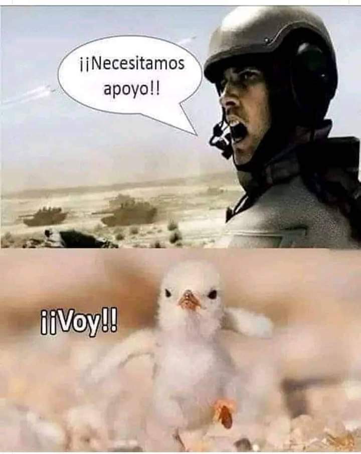 Buenas tardes