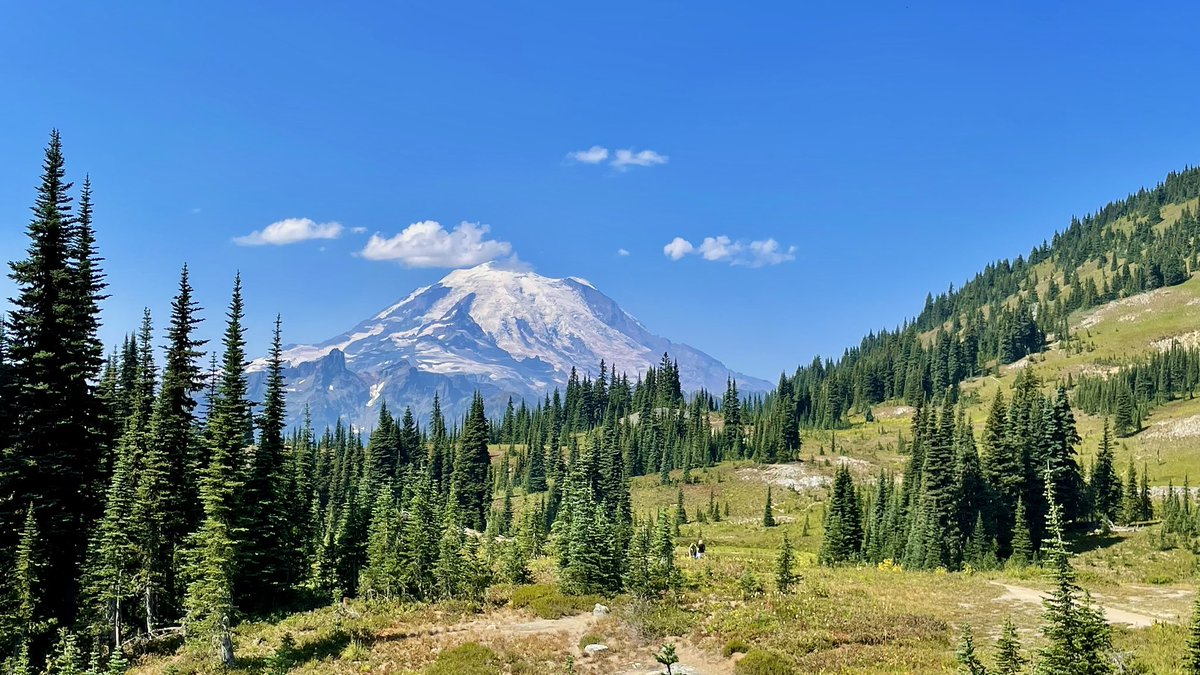 Matt Fraser tweet media