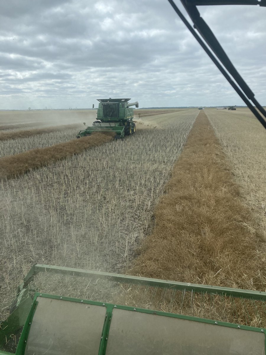 Dale Fossay tweet media