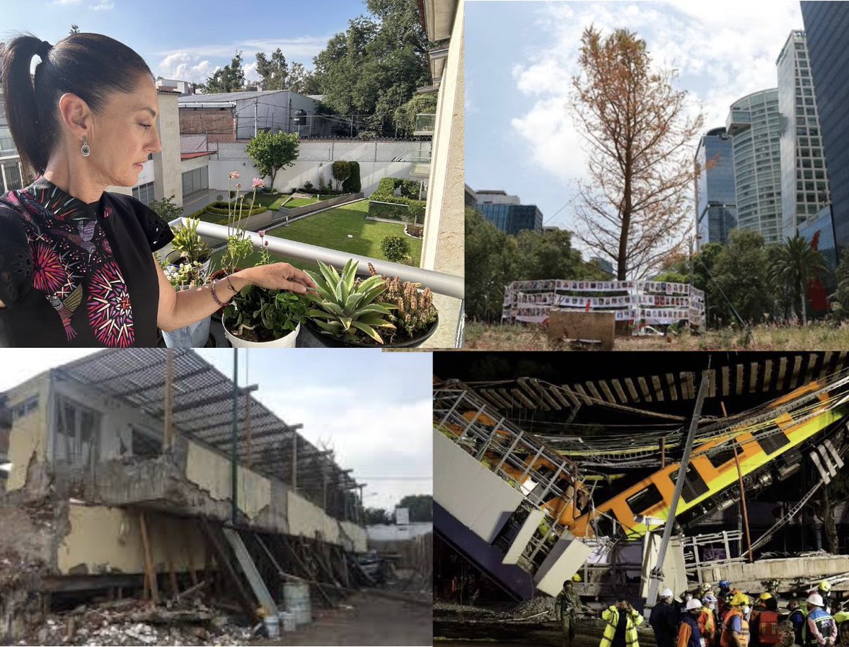 JJDiazMachuca's tweet photo. Todo lo destruye Claudia Sheinbaum 

Se van a secar las plantas de @Claudiashein 

Sembró un ahuehuete que viviría 2000 años y lo seco. 
Le dieron un colegio y hubo muertos 
Le dieron el Metro y hubo muertos https://t.co/soPsL17P0K