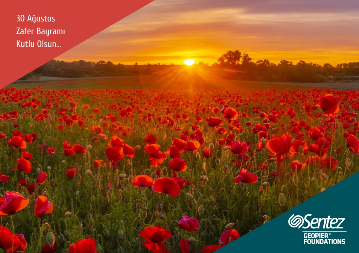 Sentez | Geopier tweet media