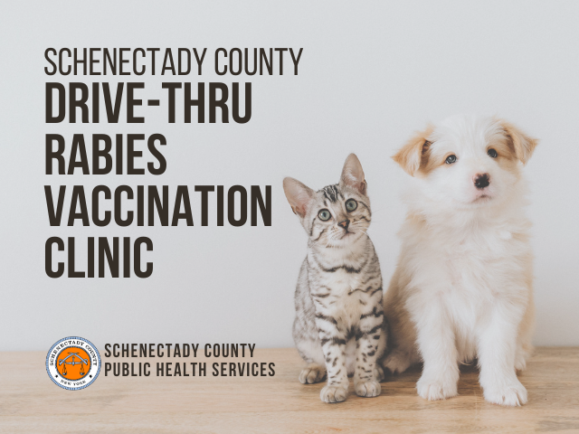 Keeping your pet’s rabies vaccines up to date is crucial for their safety and for the health of our community.

Schenectady County Public Health Services is hosting a free drive-thru vaccination clinic for cats, dogs, and ferrets on 9/23. 

Learn more: schenectadycountyny.gov/rabies-vaccine