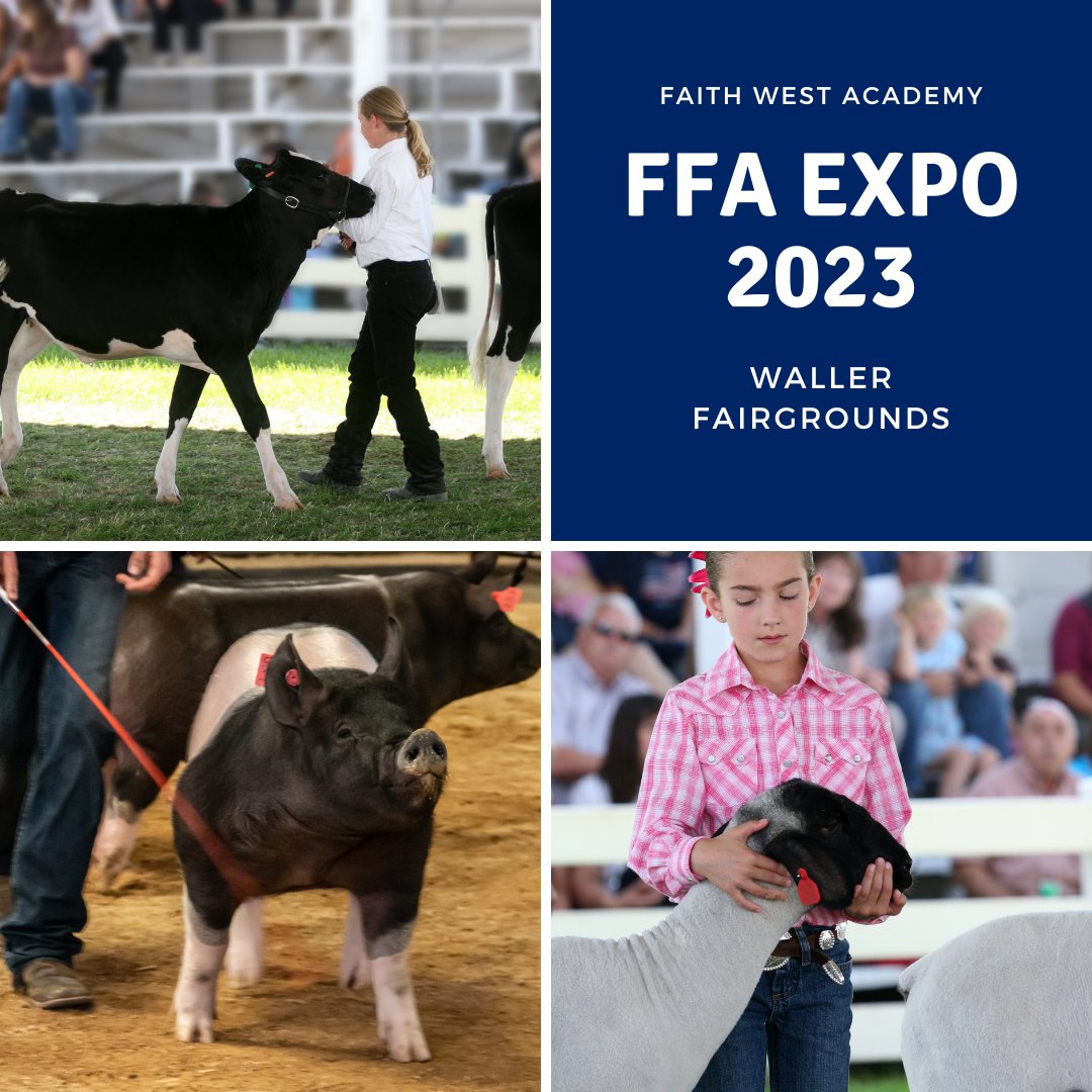 This weekend is Faith West Academy’s FFA Expo 2023 at the Waller Fairgrounds. Come out and support our FFA students! Show starts at 9 am.

#FaithWestAcademy #FWAlife #enroll #NowOpen #ChristianEducation #PrivateSchool #QualityEducation #katytx #FWAFFA #FWAFFArocks