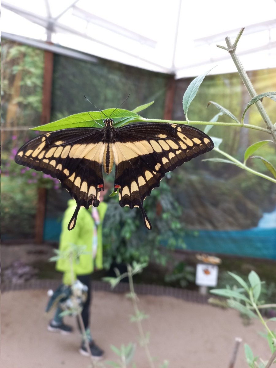 Miłosz Tkaczyk (@tkaczykmilosz) on Twitter photo 