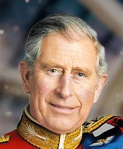 Guildford Town Guides tweet media