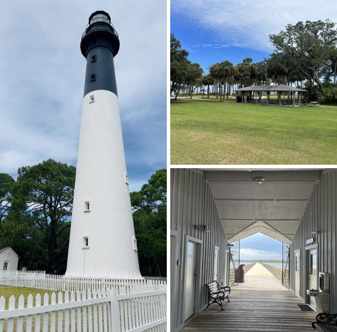 FOHISC's tweet image. The calm before the storm 🍃
#HuntingIsland