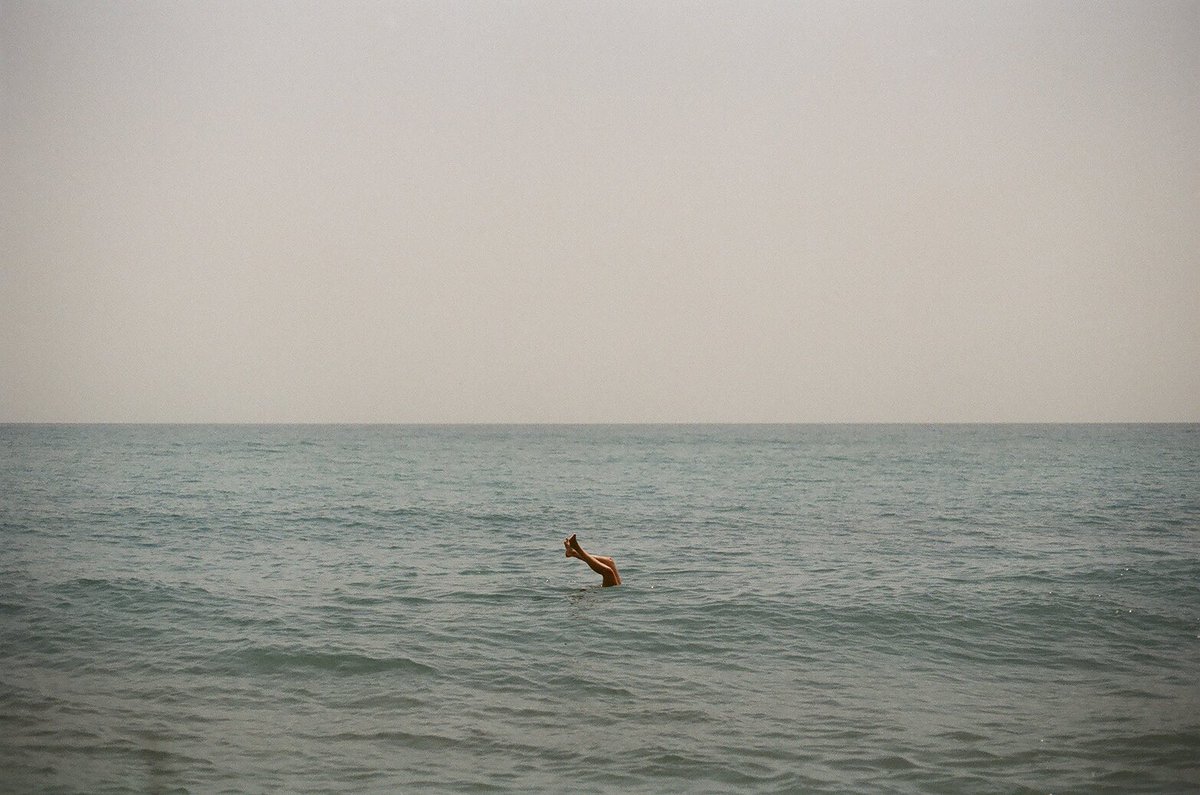 elvira sastre sanz tweet media