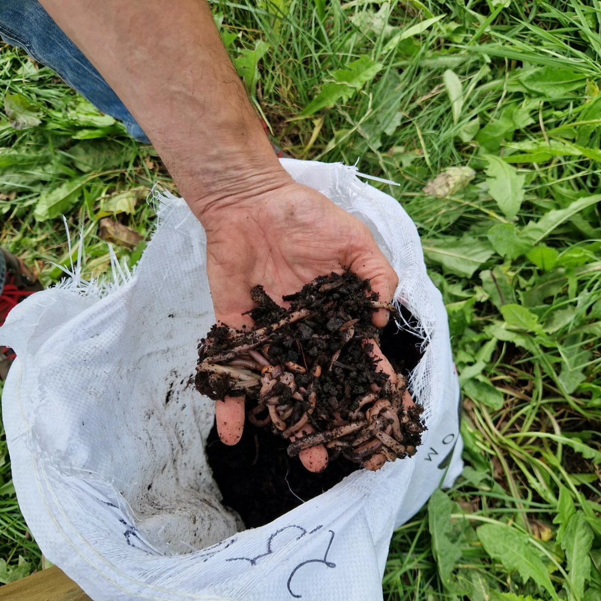 Eddie Bouwmeester kwam vandaag langs, om onze regionale trots op Verwolde te 'kietelen' met dikke Douwers, deze gaan bijdragen aan een beter verticaal transport van voedsel voor deze veteraan.
