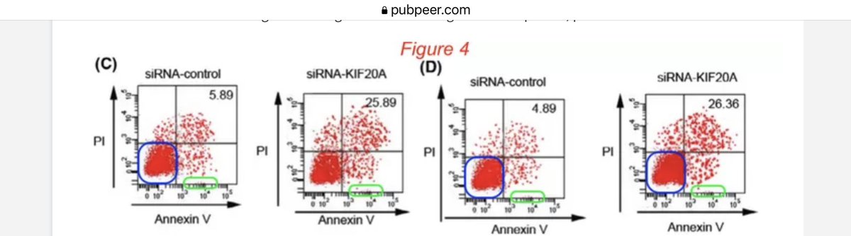 MicrobiomDigest's tweet image. Well, that’s an understated #retraction notice. 
“data presented in Figure 3B cannot be validated, and the conclusions drawn from the data and figures are unreliable.”
These panels look manipulated. 
#FlawCytometry
HT: @gcabanac 

pubpeer.com/publications/8…