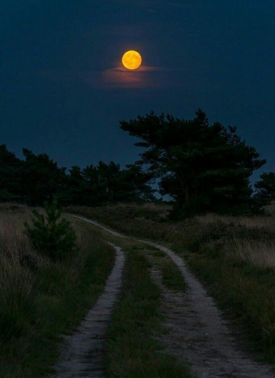 "Gel,
Her şey herkese anlatılmıyor."