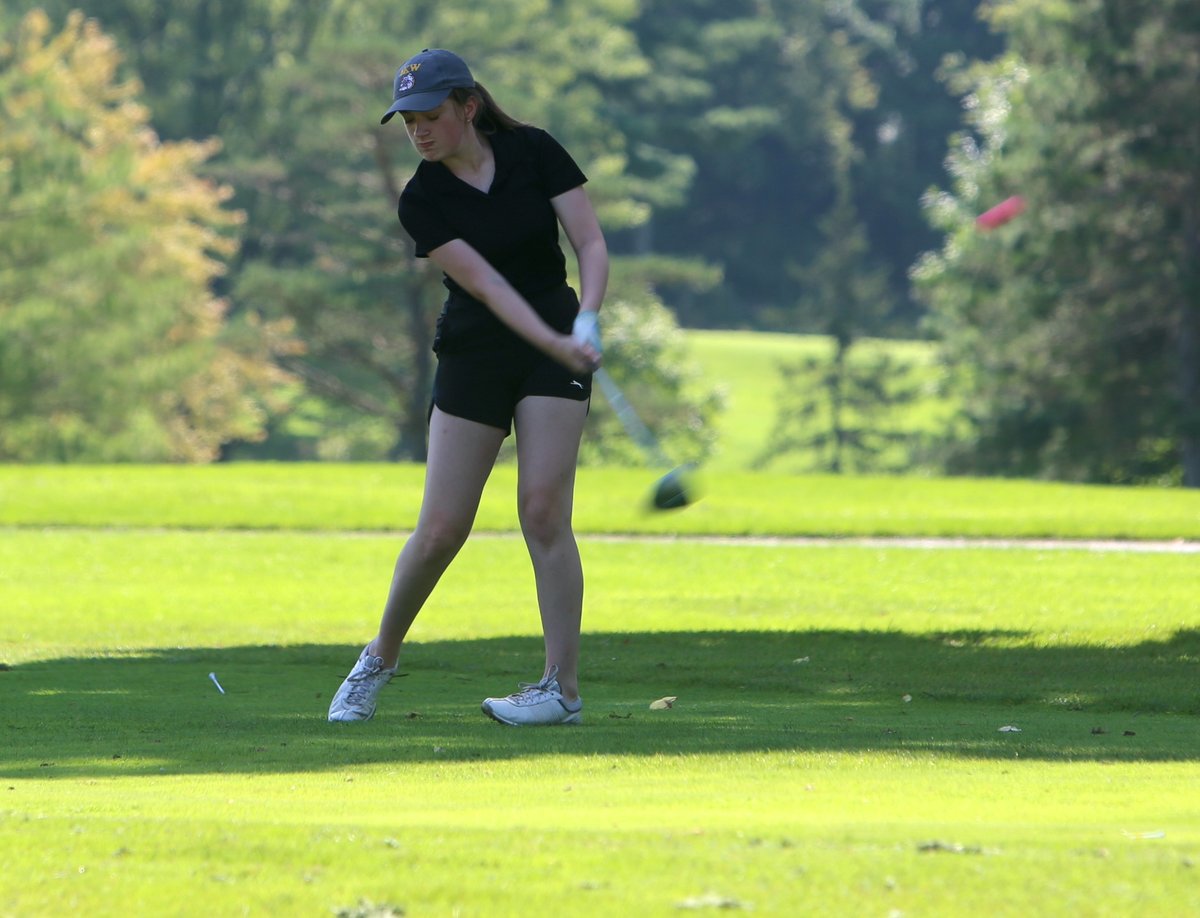 Mike Koff tweet media