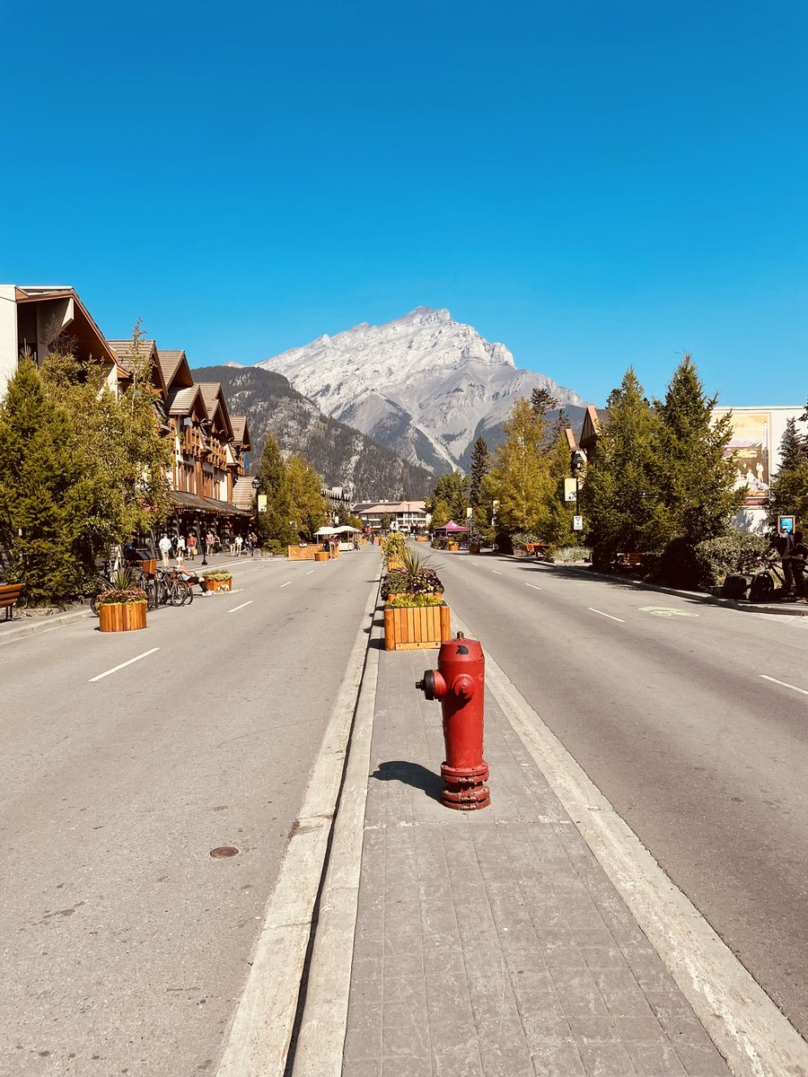 lloyd morris tweet media