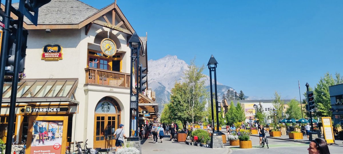 lloyd morris tweet media