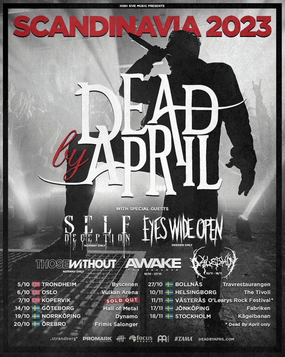 those without tweet media