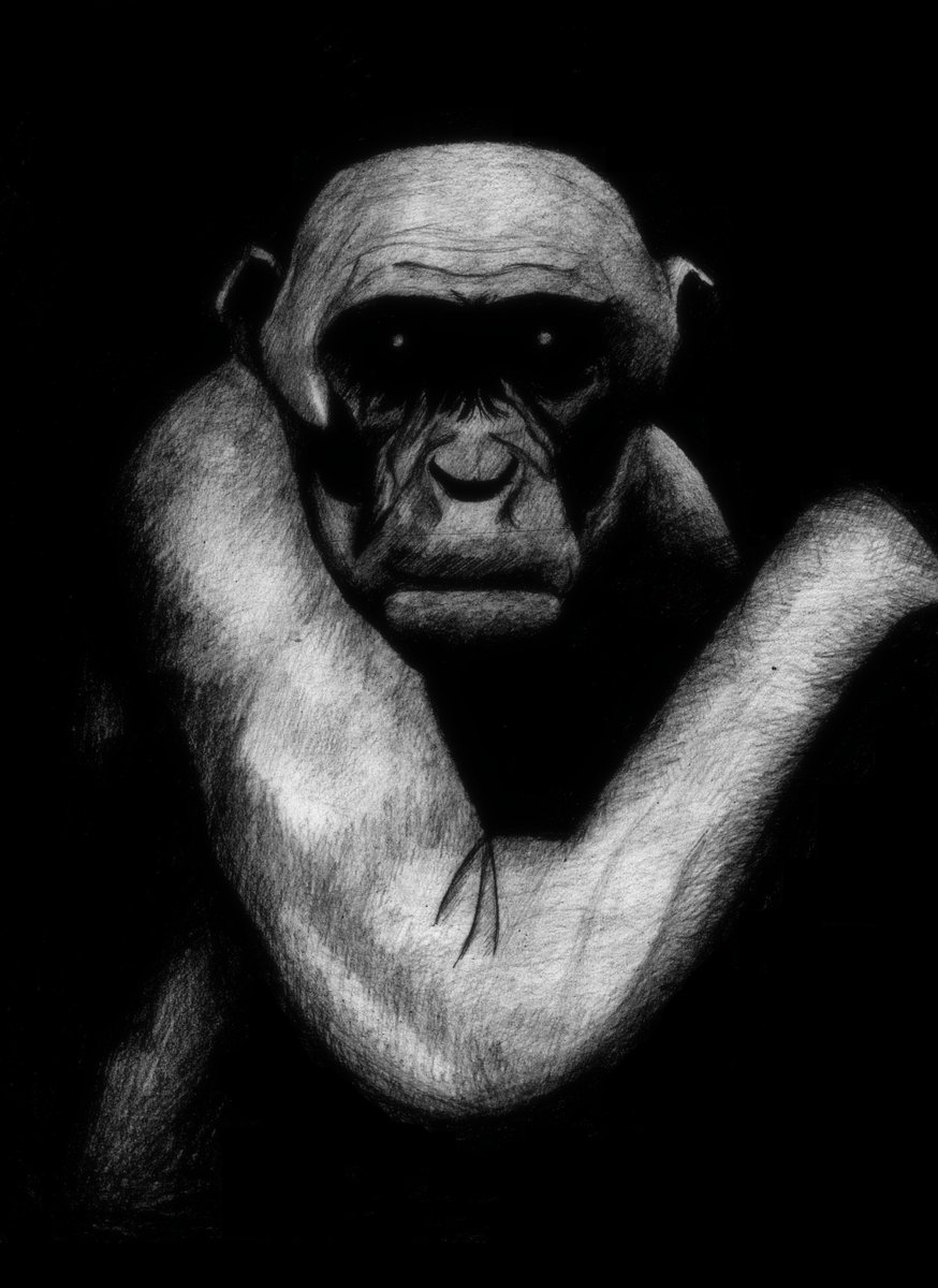 avargus777's tweet photo. Creepypasta Files [Vol.3]

#creepypasta #slenderman #creepypastaart #creepypastafanart #horror #HorrorArt #horrorstory #scary #scaryart #nostalgia #nostalgiascary #art #drawing #drawings #blackandwhite #blackandwhiteart
#macabre #gothic https://t.co/EuMvsrGytF
