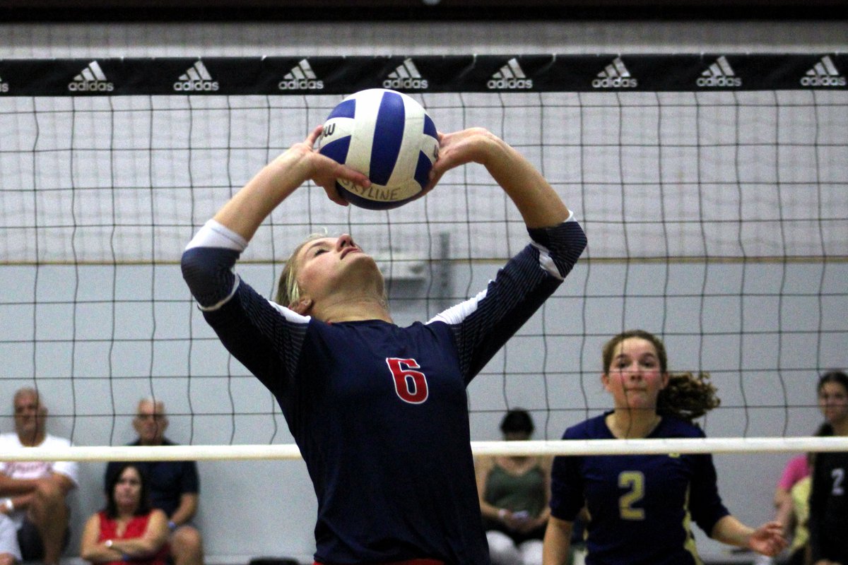 Guilherme Torres tweet media