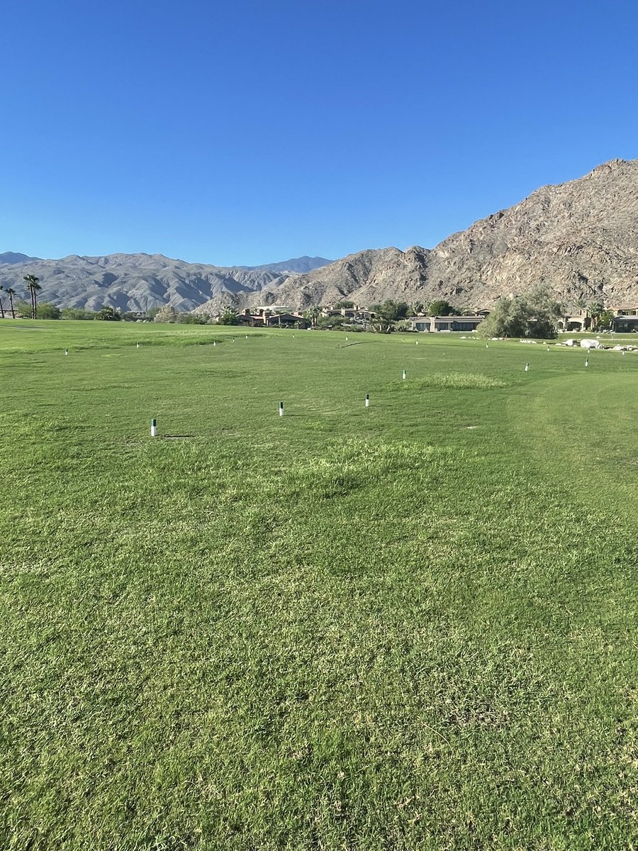 Love when a plan comes together.  These pictures are two weeks apart.