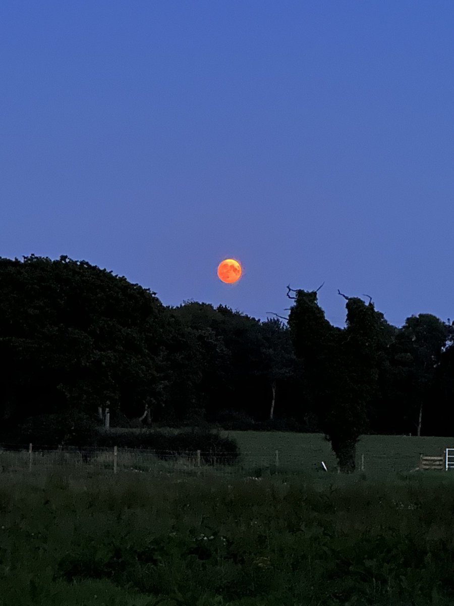 Proper red moon tonight