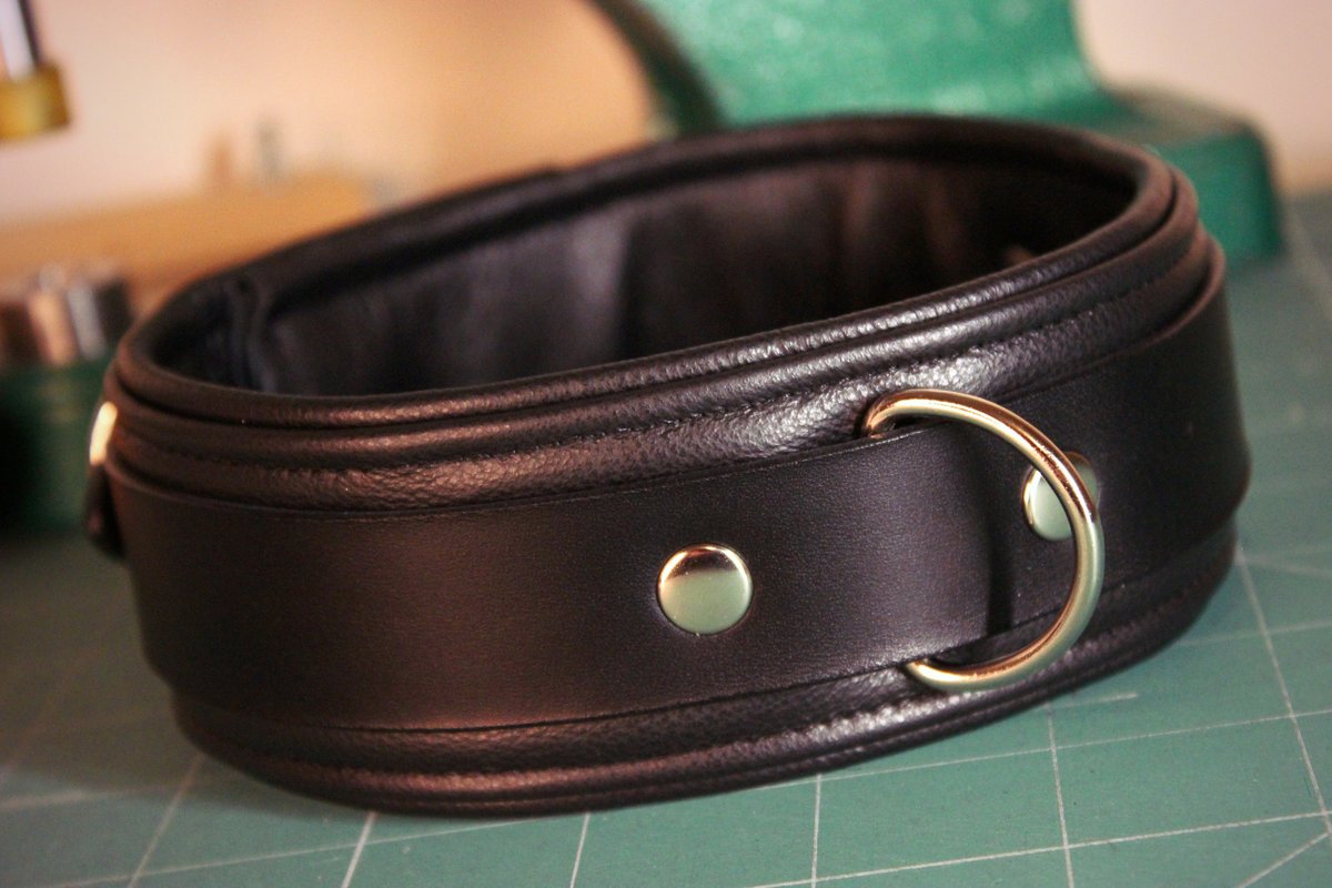 And a padded collar finished off today ^^

Now if you don't mind i'm going off to play pikmin 4