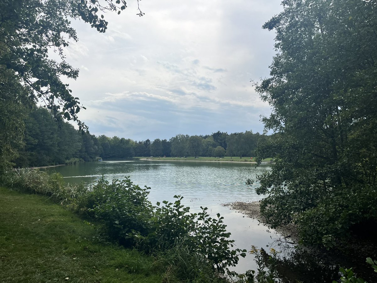 AlexWBirding's tweet photo. After almost two and a half years since living here, would be rude not to pay a visit to my old patch in Germering while staying in Munich! Pied and Spotted Flycatcher, Firecrest, Crested, Marsh and Willow Tit and Short-toed Treecreeper all present in an emotional visit. https://t.co/dCPHCKYoWV