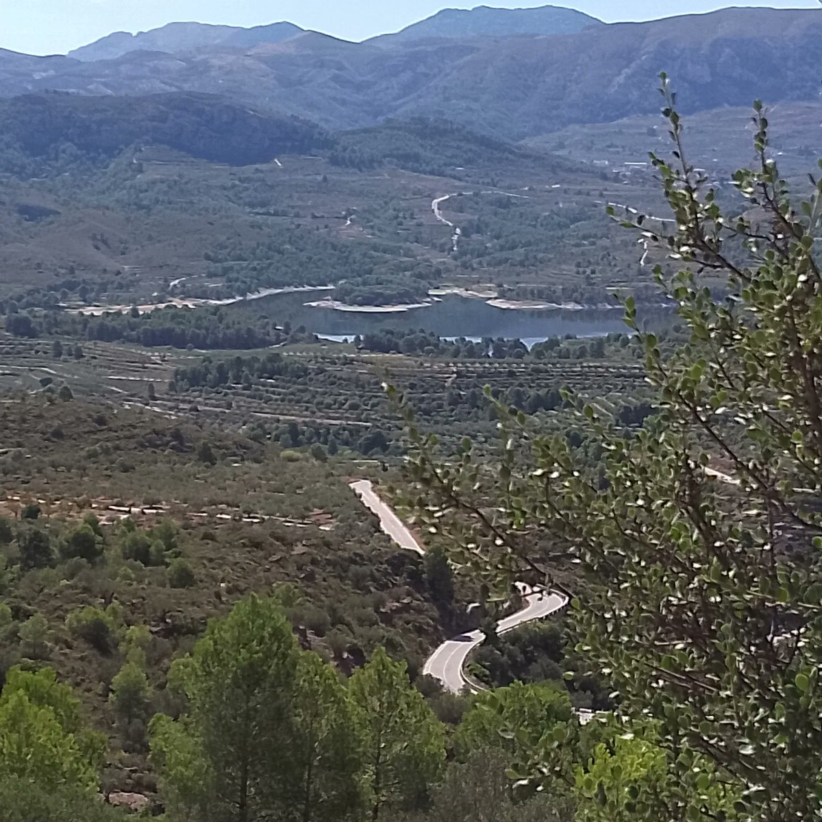 1969mgr's tweet image. Voy a dejar por aquí unas imágenes amables que en cualquier día de trabajo me gusta hacer. Es una terapia que me funciona, buscar cosas bonitas aunque vivas en la rutina absoluta; pues voy y la rompo.
#MuroDeAlcoy