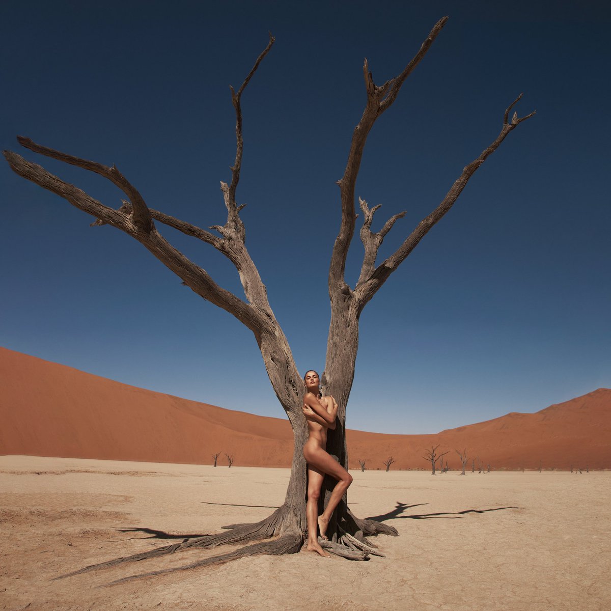 PHOENIX IS OUT AND IM BACK…