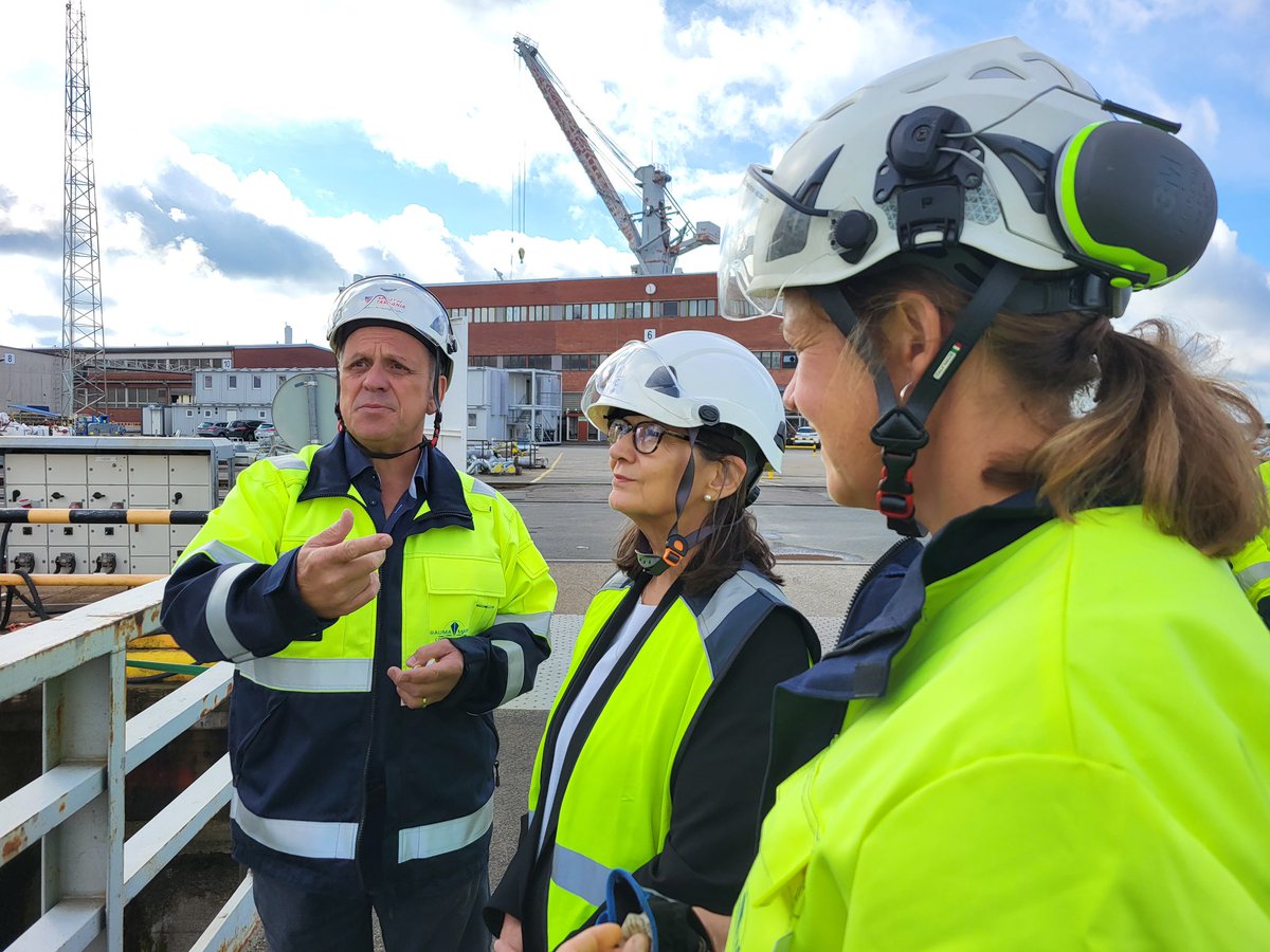 Satu Mattila-Budich tweet media