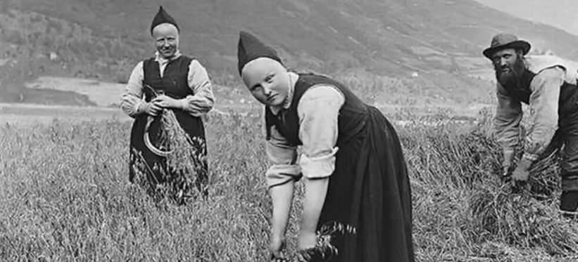 wsmagazine's tweet image. Louisa R. (Winkler) Brouwer (’17 PhD Crop Sci.) collaborated on the 2016 study “The History of Oats in Western Washington and the Evolution of Regionality in Agriculture.” Here, she discusses her work. 
magazine.wsu.edu/web-extra/oats… #WSU #GoCougs #wsubreadlab